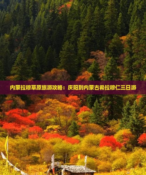 内蒙拉穆草原旅游攻略：庆阳到内蒙古希拉穆仁三日游