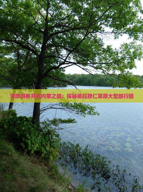安庆游客开启内蒙之旅：探秘希拉穆仁草原大型旅行团