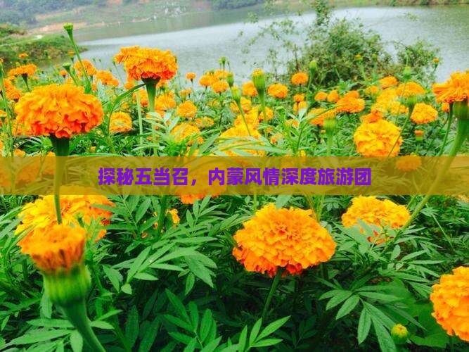 探秘五当召，内蒙风情深度旅游团