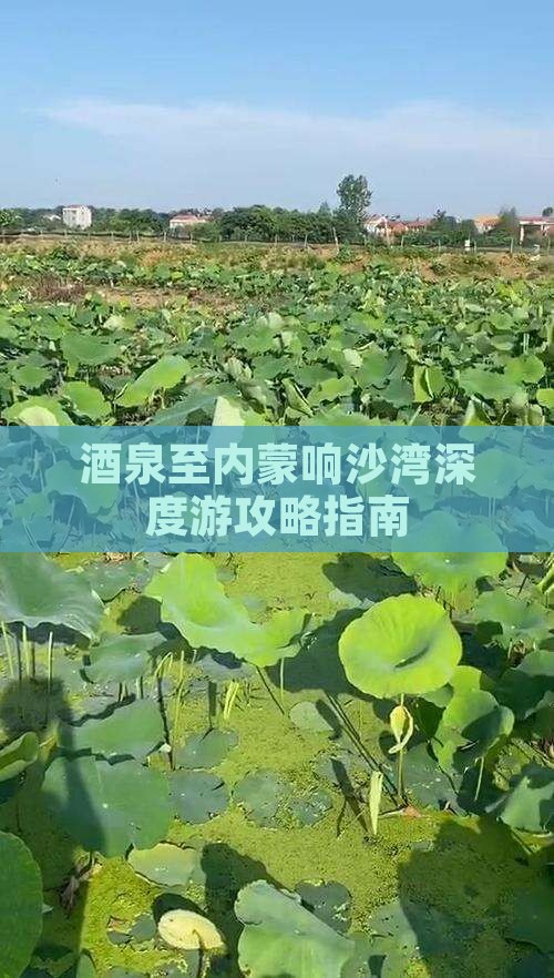 酒泉至内蒙响沙湾深度游攻略指南