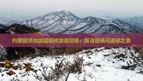 内蒙额济纳旗胡杨林旅游攻略：探寻胡杨与道桥之美