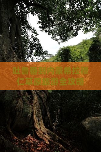 吐鲁番到内蒙希拉穆仁草原旅游全攻略
