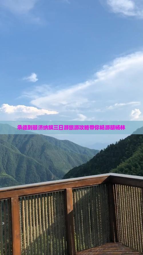 承德到额济纳旗三日游旅游攻略带你畅游胡杨林
