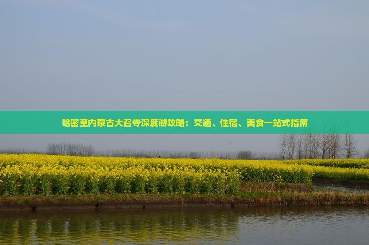 哈密至内蒙古大召寺深度游攻略：交通、住宿、美食一站式指南