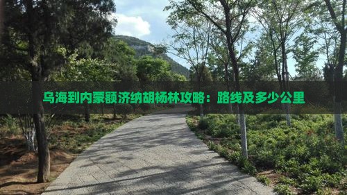 乌海到内蒙额济纳胡杨林攻略：路线及多少公里