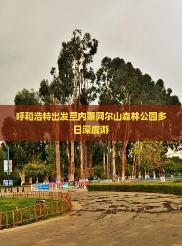 呼和浩特出发至内蒙阿尔山森林公园多日深度游