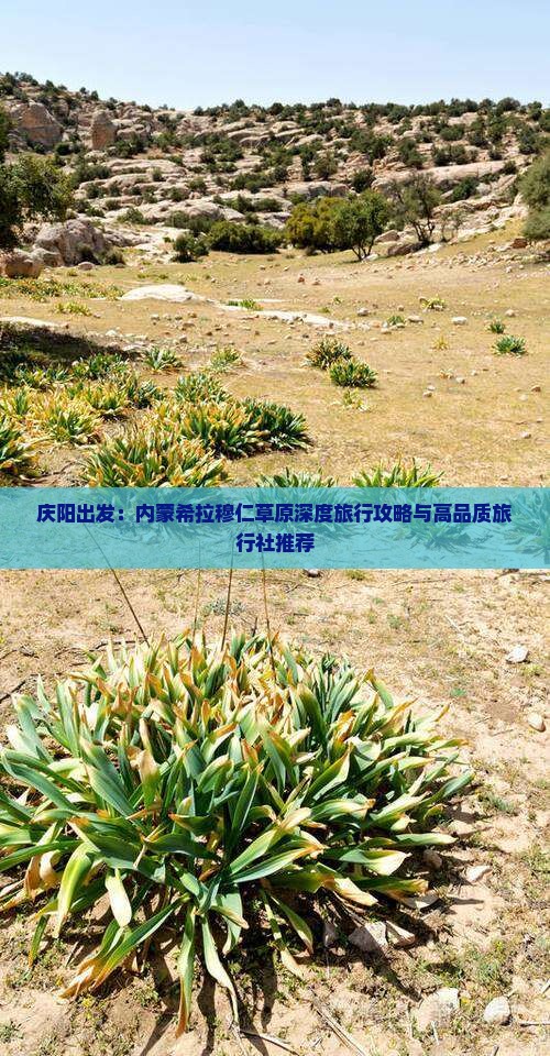 庆阳出发：内蒙希拉穆仁草原深度旅行攻略与高品质旅行社推荐