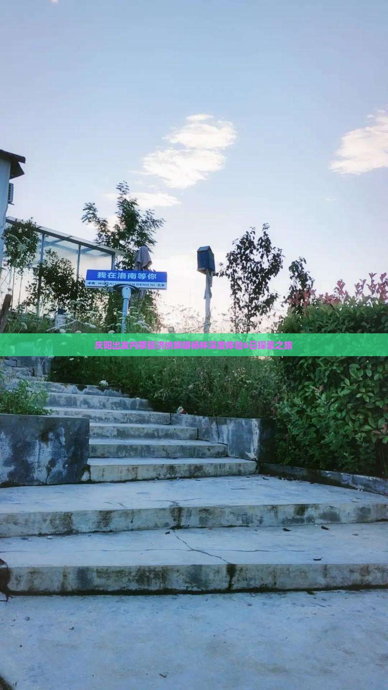 庆阳出发内蒙额济纳旗胡杨林深度体验6日探索之旅