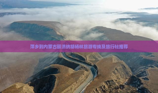 萍乡到内蒙古额济纳胡杨林旅游专线及旅行社推荐