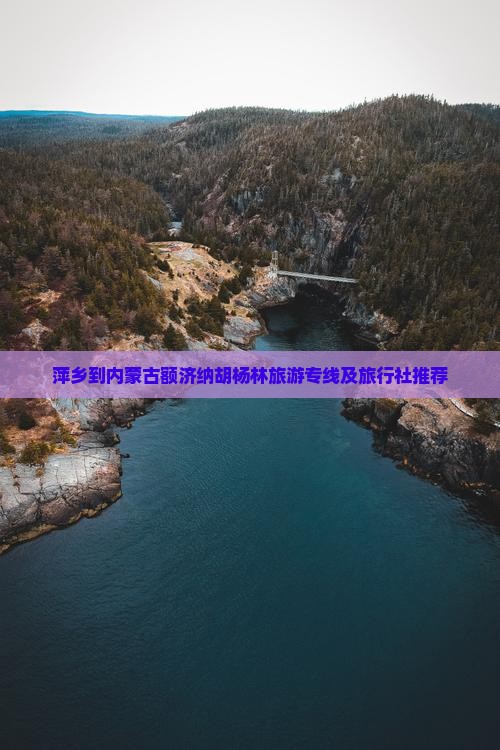 萍乡到内蒙古额济纳胡杨林旅游专线及旅行社推荐