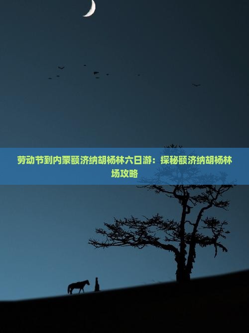 劳动节到内蒙额济纳胡杨林六日游：探秘额济纳胡杨林场攻略