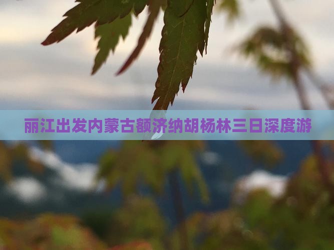 丽江出发内蒙古额济纳胡杨林三日深度游