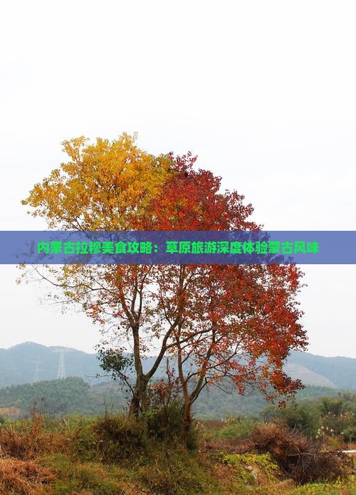 内蒙古拉穆美食攻略：草原旅游深度体验蒙古风味