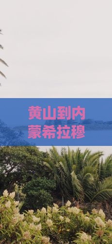 黄山到内蒙希拉穆仁草原七日旅游攻略