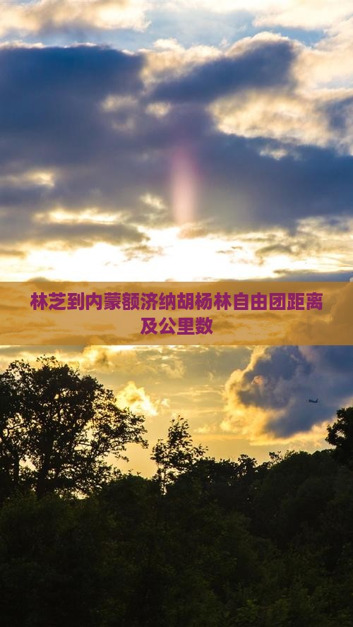 林芝到内蒙额济纳胡杨林自由团距离及公里数