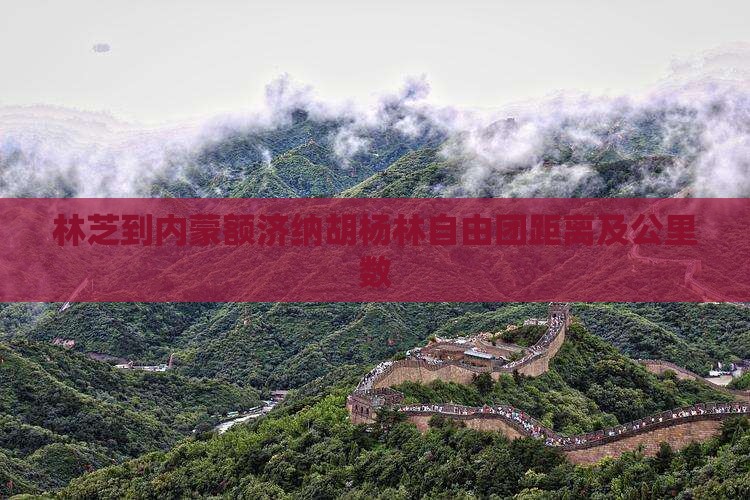 林芝到内蒙额济纳胡杨林自由团距离及公里数