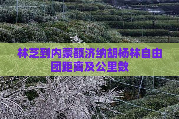 林芝到内蒙额济纳胡杨林自由团距离及公里数