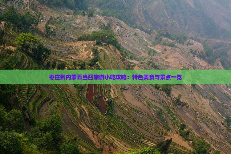 枣庄到内蒙五当召旅游小吃攻略：特色美食与景点一览