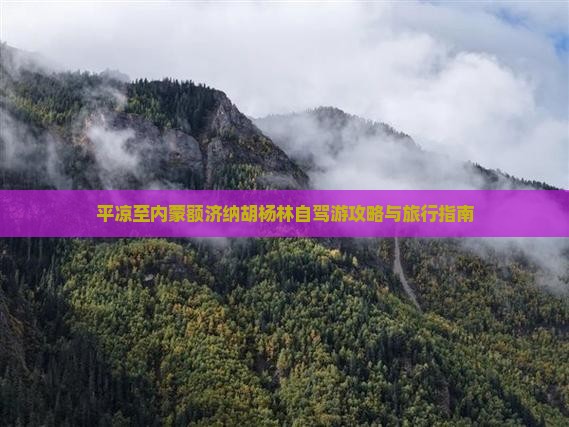平凉至内蒙额济纳胡杨林自驾游攻略与旅行指南