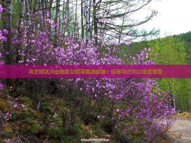 乌兰哈达火山地质公园深度游攻略：探秘乌兰火山地质奇观