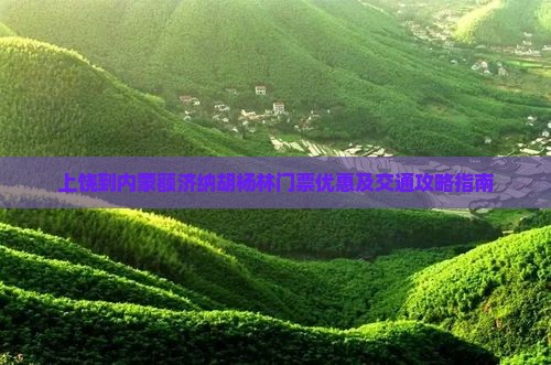 上饶到内蒙额济纳胡杨林门票优惠及交通攻略指南