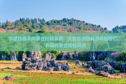 尔塔拉携手内蒙古拉穆草原，大型旅游团畅游希拉穆仁，共探内蒙古塔拉风光