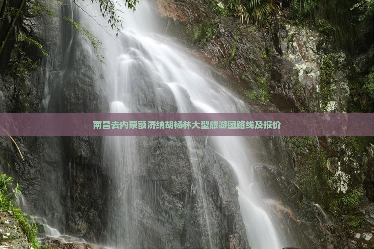 南昌去内蒙额济纳胡杨林大型旅游团路线及报价