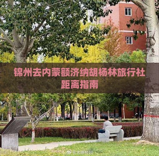 锦州去内蒙额济纳胡杨林旅行社距离指南
