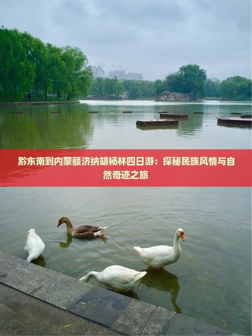 黔东南到内蒙额济纳胡杨林四日游：探秘民族风情与自然奇迹之旅
