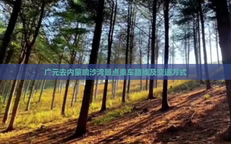 广元去内蒙响沙湾景点乘车路线及交通方式