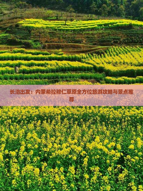 长治出发：内蒙希拉穆仁草原全方位旅游攻略与景点推荐