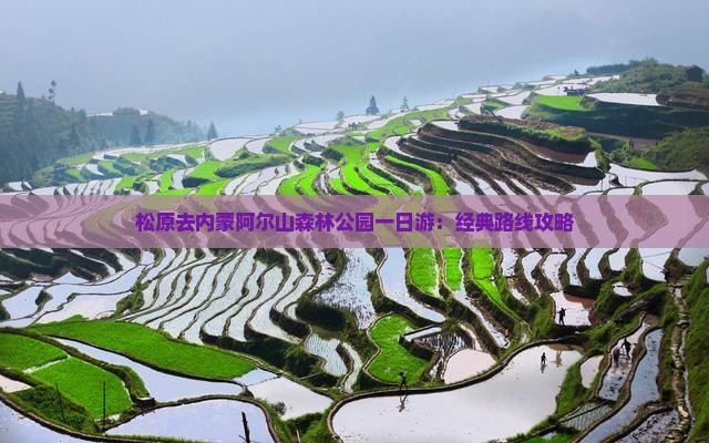 松原去内蒙阿尔山森林公园一日游：经典路线攻略