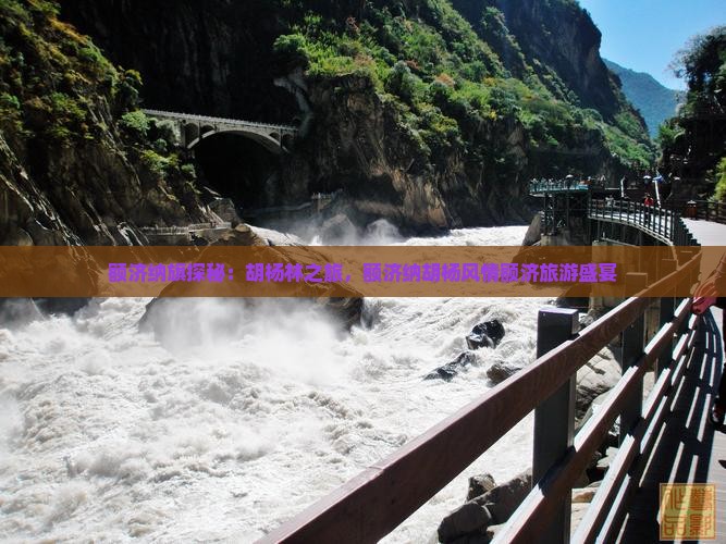 额济纳旗探秘：胡杨林之旅，额济纳胡杨风情额济旅游盛宴
