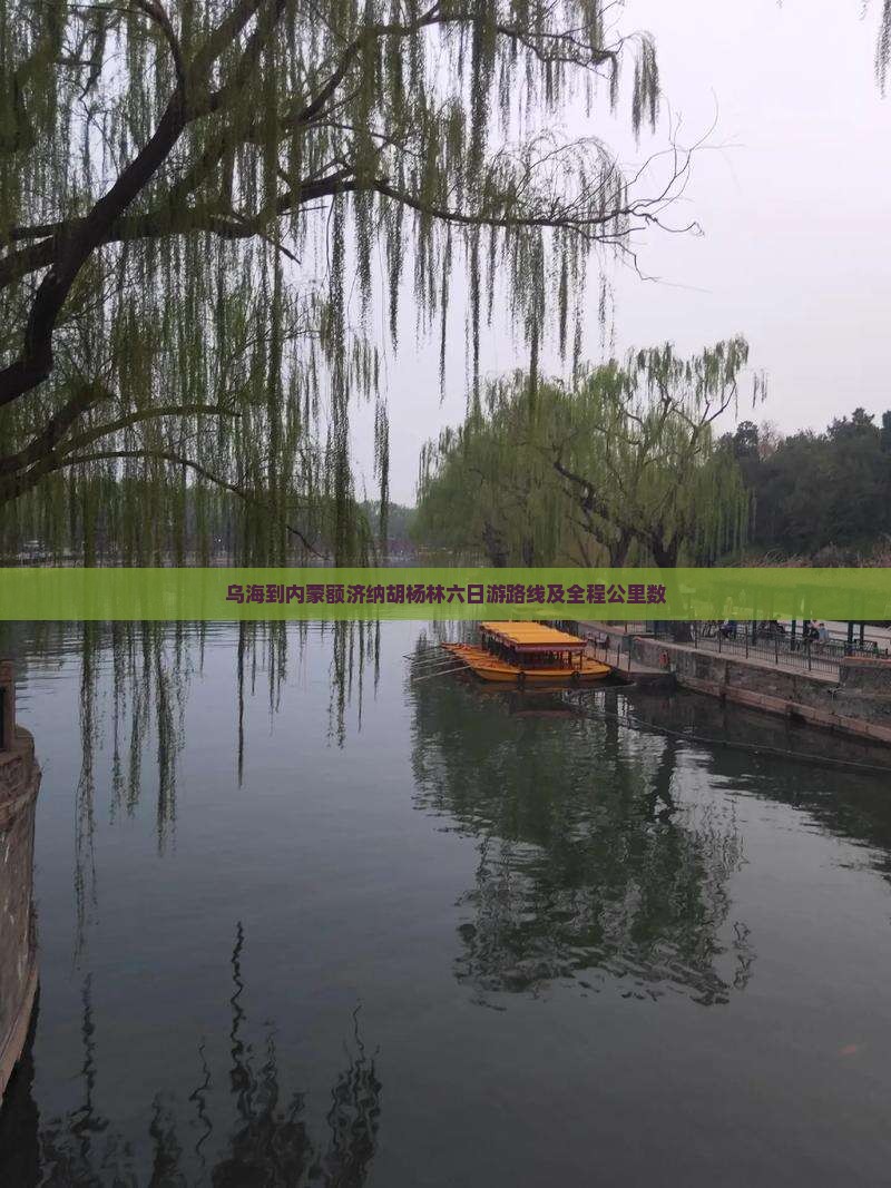 乌海到内蒙额济纳胡杨林六日游路线及全程公里数