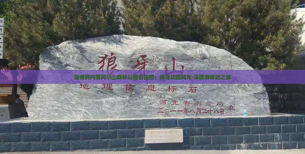 淄博到内蒙阿尔山森林公园自由团：探寻北国风光·深度游体验之旅