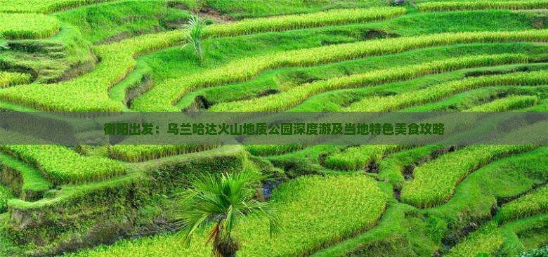 衡阳出发：乌兰哈达火山地质公园深度游及当地特色美食攻略