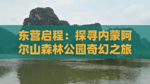 东营启程：探寻内蒙阿尔山森林公园奇幻之旅