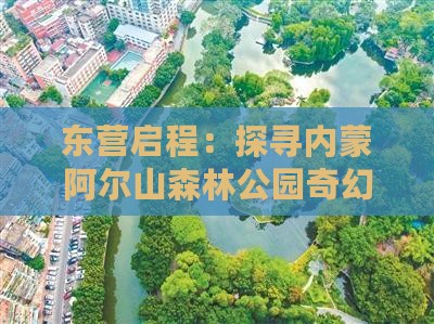 东营启程：探寻内蒙阿尔山森林公园奇幻之旅