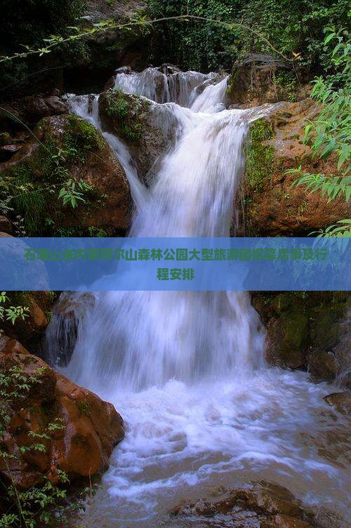 石嘴山去内蒙阿尔山森林公园大型旅游团招募启事及行程安排