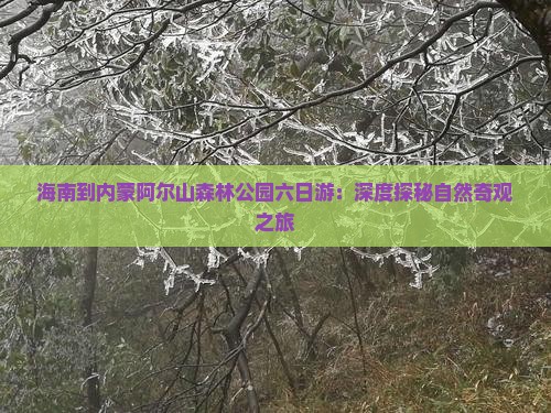 海南到内蒙阿尔山森林公园六日游：深度探秘自然奇观之旅