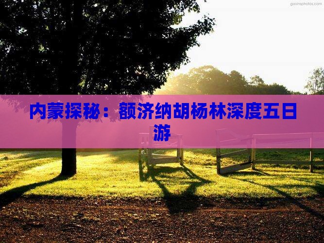 内蒙探秘：额济纳胡杨林深度五日游