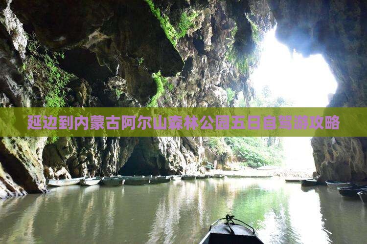 延边到内蒙古阿尔山森林公园五日自驾游攻略
