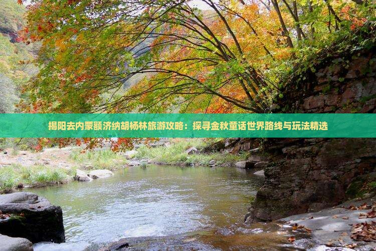 揭阳去内蒙额济纳胡杨林旅游攻略：探寻金秋童话世界路线与玩法精选