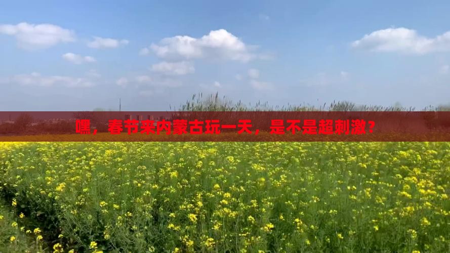 春节到内蒙一日游