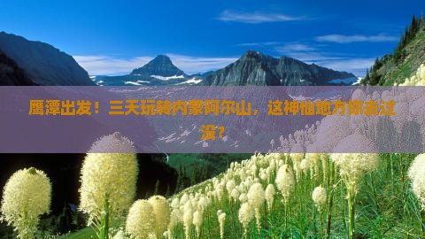 鹰潭去内蒙阿尔山国家森林公园三日游