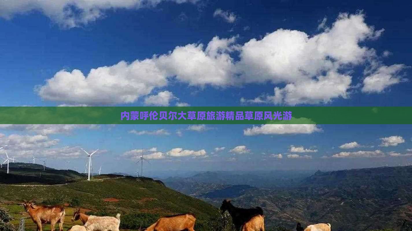 巴彦倬尔去内蒙呼伦贝尔大草原自由团