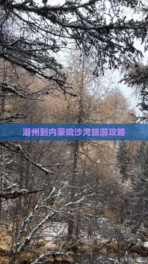湖州到内蒙响沙湾景点