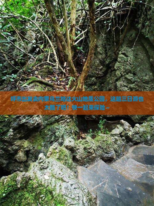 呼和浩特去内蒙乌兰哈达火山地质公园三日游
