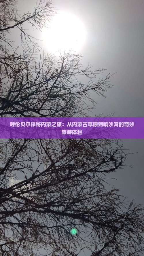 呼伦贝尔去内蒙响沙湾自由行