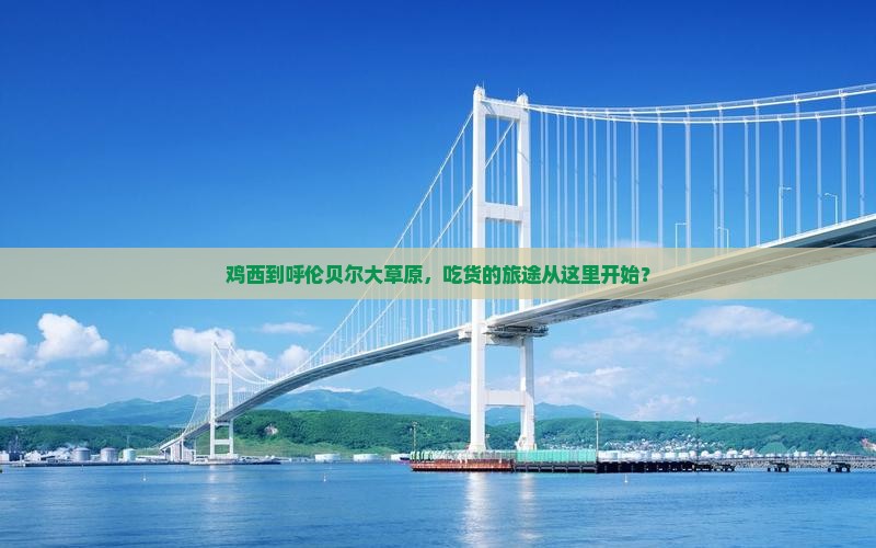 鸡西去内蒙呼伦贝尔大草原旅游小吃